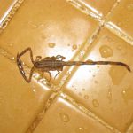 Have a refreshing shower