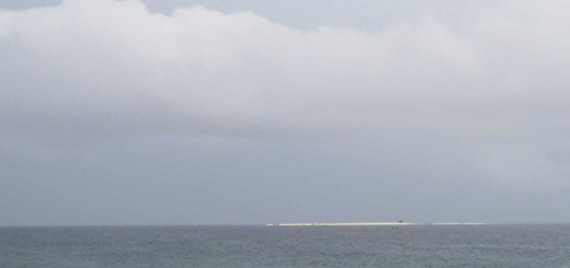 Washi - White Island