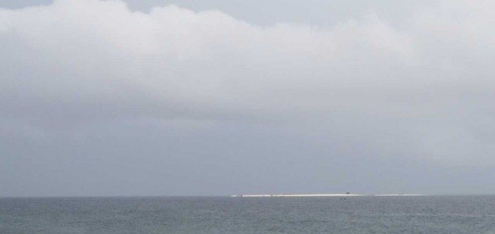 Washi - White Island