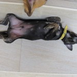 News Ticker: Rainy and gray, that’s all