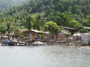 After Benoni Mangroves Project After Benoni Mangroves Project