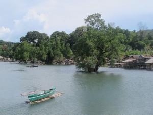 After Benoni Mangroves Project After Benoni Mangroves Project