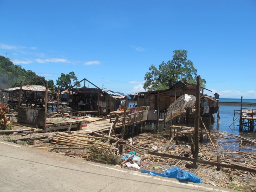 After Benoni Mangroves Project After Benoni Mangroves Project