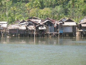 Before Benoni Mangroves Project Before Benoni Mangroves Project