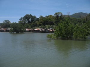 Before Benoni Mangroves Project Before Benoni Mangroves Project