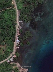 Benoni Mangroves Project Benoni Mangroves Project