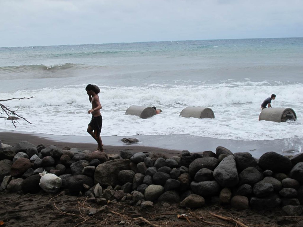 Desperate actions to protect the beach