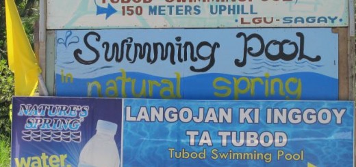 Sagay Swimming Pool
