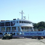 Severe water pollution in Benoni port