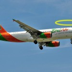 We found “Saint Zest” !