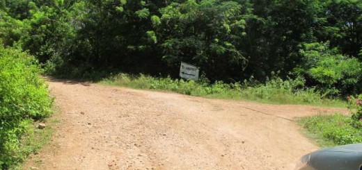 Yes, we are on the right road to the Airport