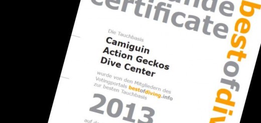 Camiguin Action Geckos N° 1