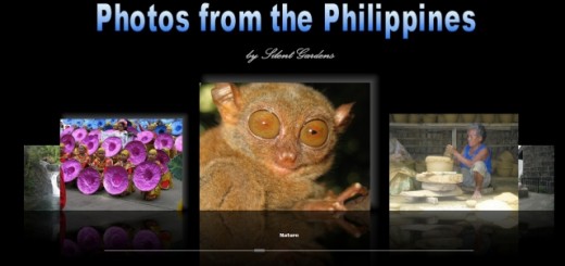 Photos from the Philippines
