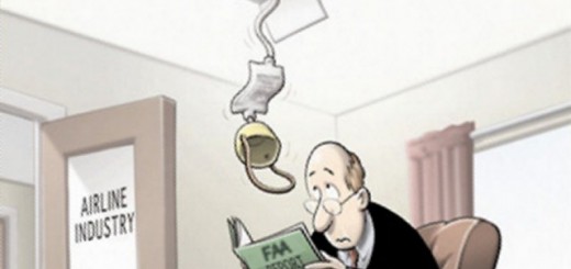 2014 CAAP/FAA Report