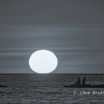 My doc is also an artist