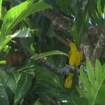 Hot and sunny Philippines