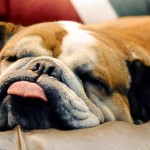 Amihan is off – Habagat not yet active