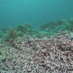 Diver’s Depression