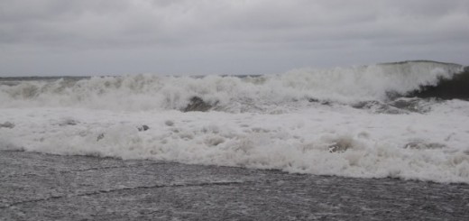 Typhoon RAMMASUN / Glenda