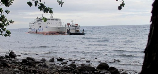 Super Shuttle Ferry 11 + 15