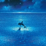 Camiguin dives – freedives