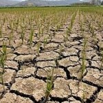 Dry – dry – dry – El Niño!