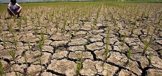 Dry Mindanao