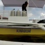 Kinabuhi – new Life for the Action Geckos