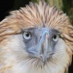 East Mindanao Discovery Trip (5) – Davao