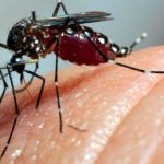 Dengue Outbreak – Protect Yourself – Nobody Protects You