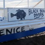Camiguin Black Beach Divers – The Phoenix Effect