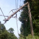 CAMELCO customer service is getting better – still a lot of work ahead