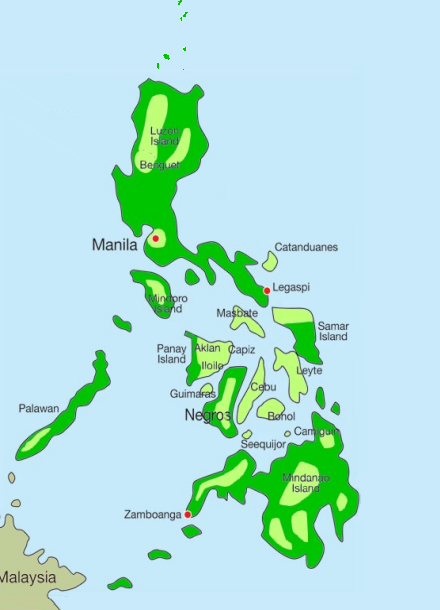 Typhoid fever is endemic all over the Philippines