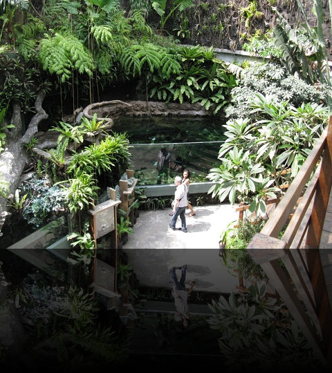 Manila-Oceanarium-02